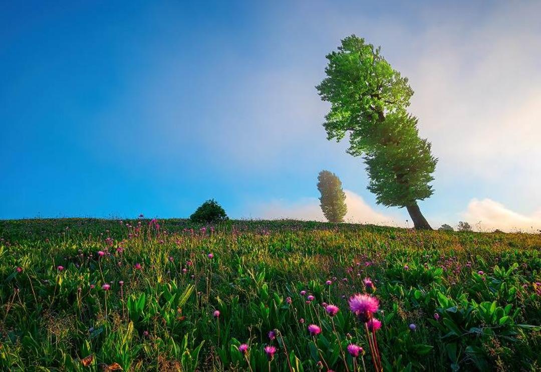 ییلاق سلانسر؛ منبع عکس گوگل مپ. عکاس Siamak ALM