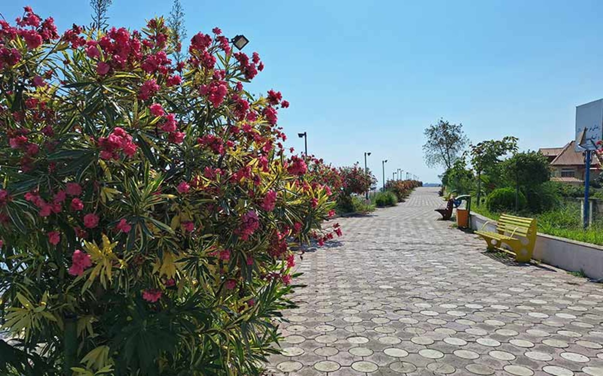 پیاده رو پارک ساحلی کلاچای، منبع عکس: گوگل مپ، عکاس: محمدرضا یعقوب شاواکی