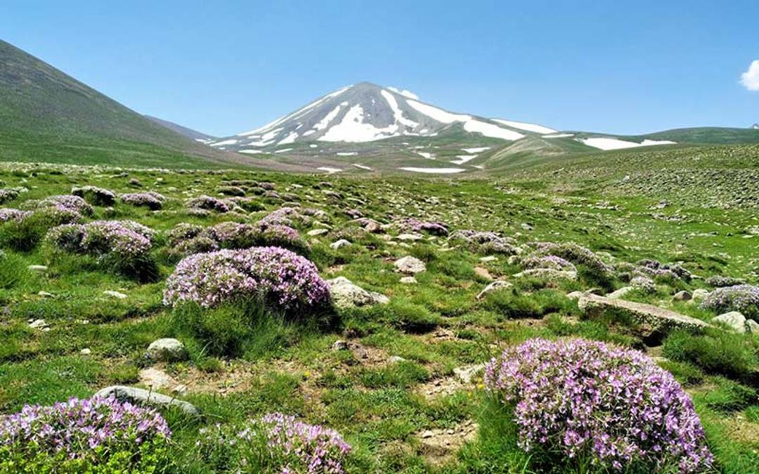 طبیعت بهاری کوه سهند