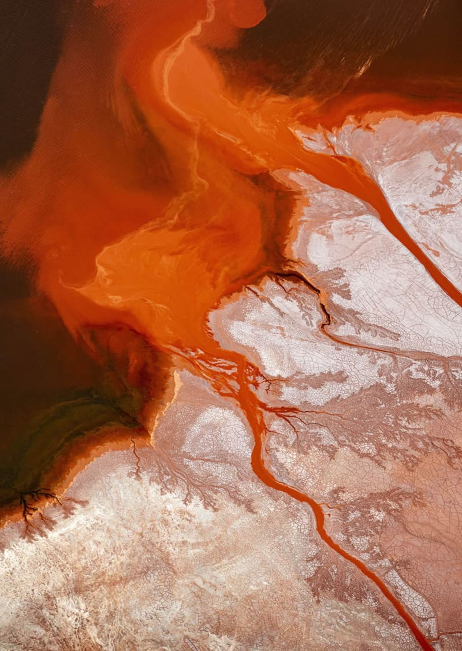 تصویر ماکرو از گلبرگ زرشکی