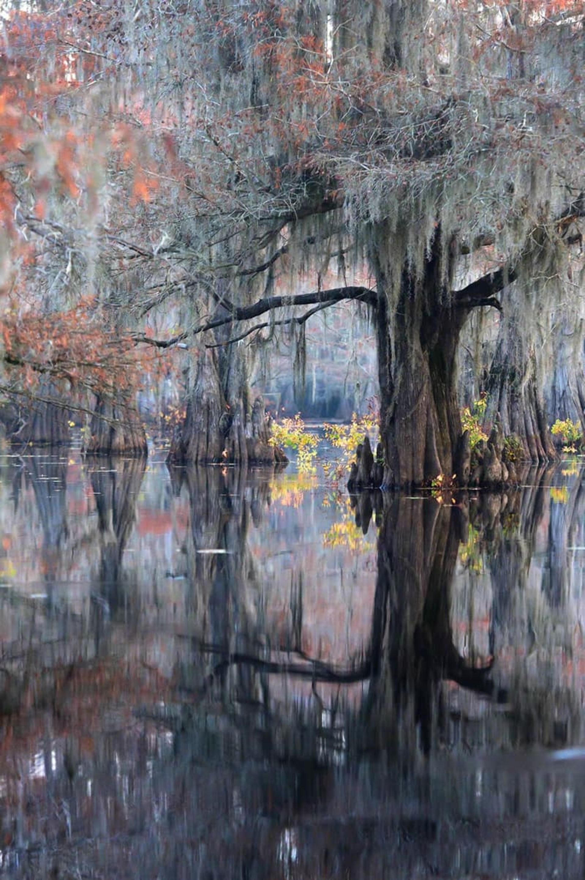 طبیعت پاییزی کره جنوبی