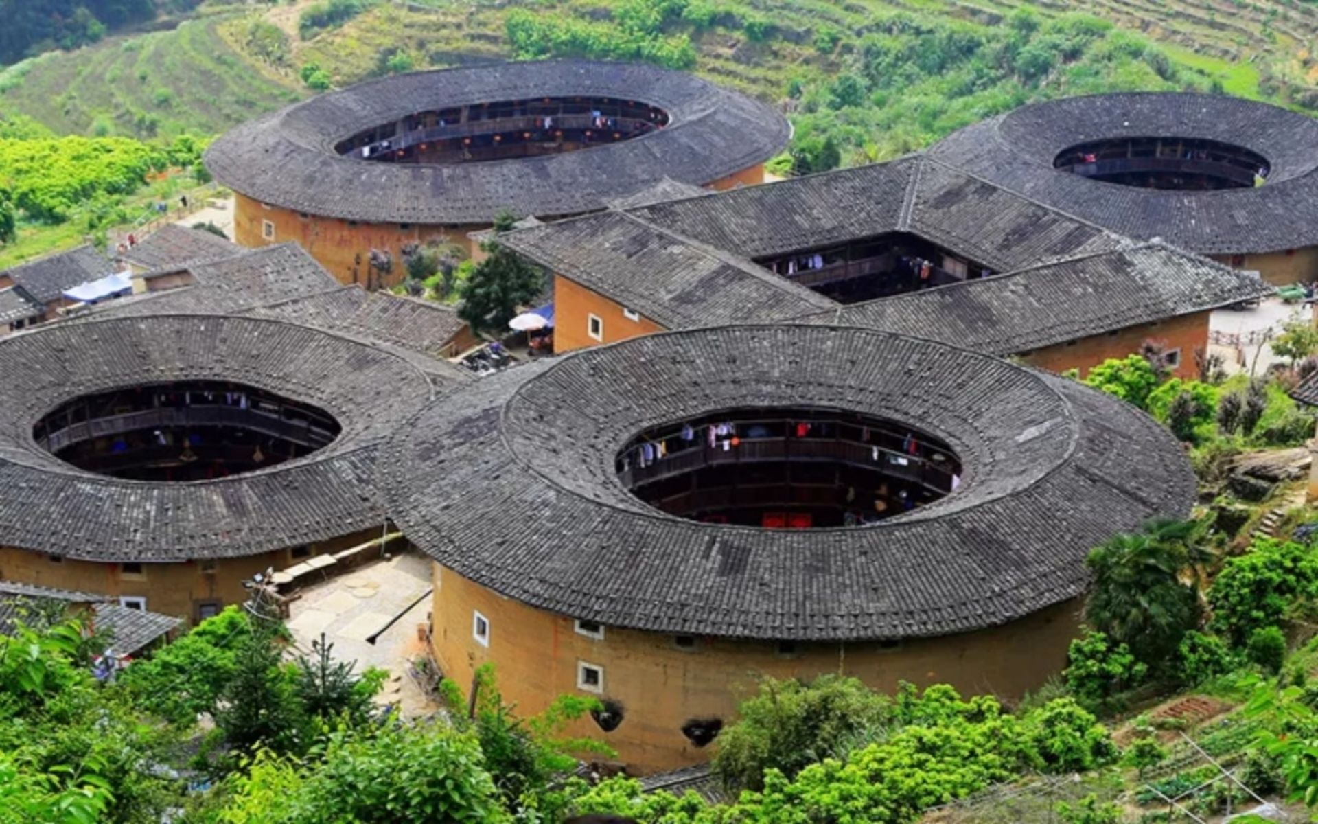تالوهای فوجیان در میان درختانی سرسبز؛ منبع عکس: سایت chinaculturetour.com. عکاس: نامشخص 