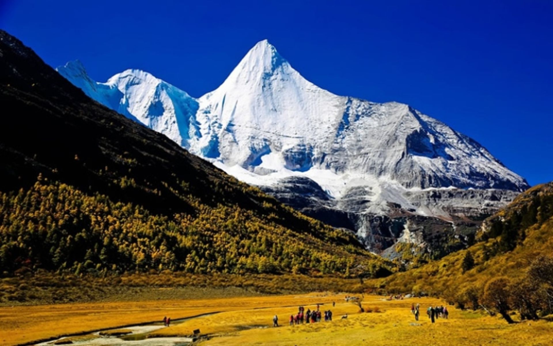 دائوچنگ یادینگ با کوه برفی؛ منبع عکس: سایت sichuantravelguide.com. عکاس: نامشخص