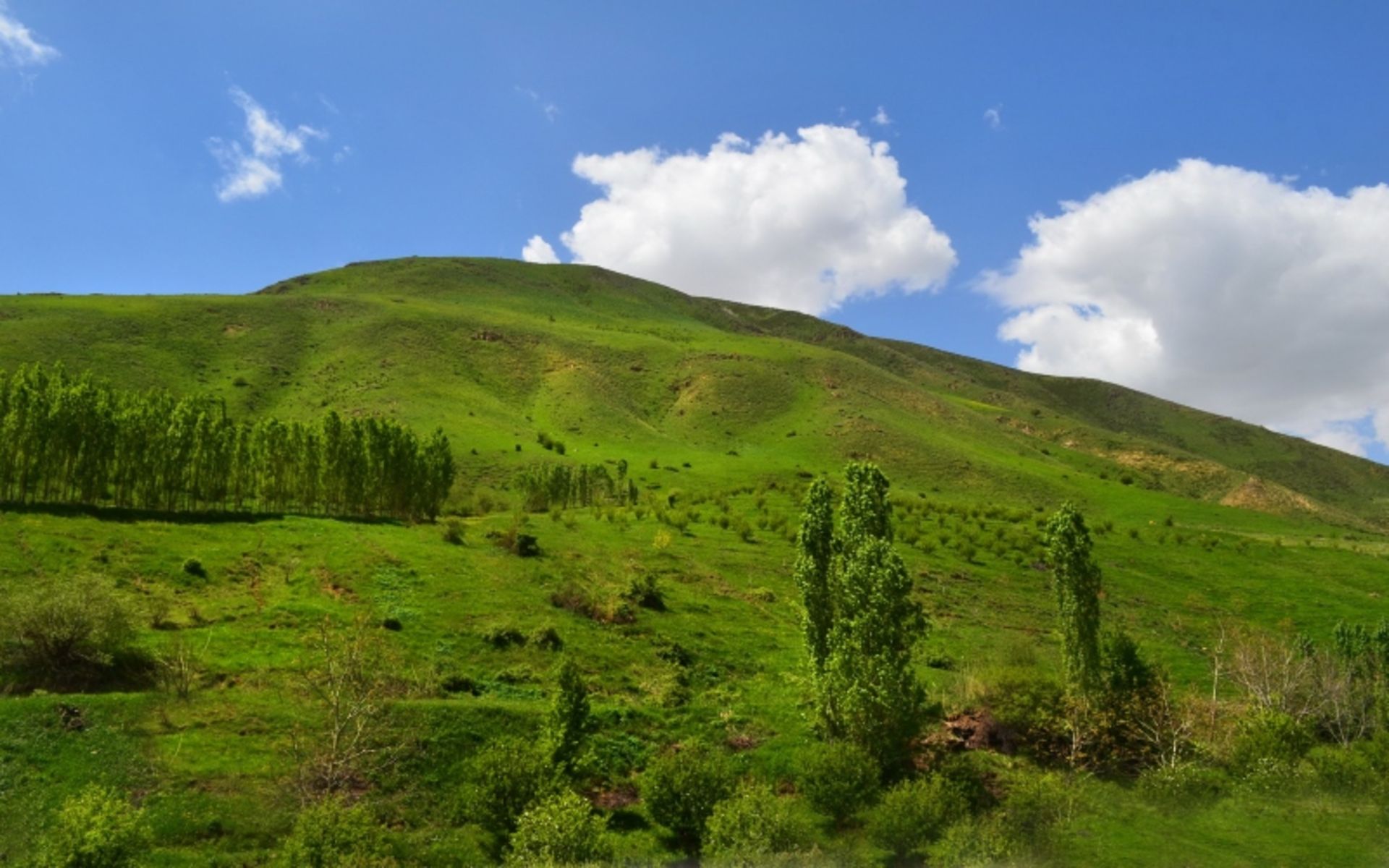 بند ارومیه در تابستان؛ منبع عکس: commons.wikimedia.org. عکاس: نامشخص