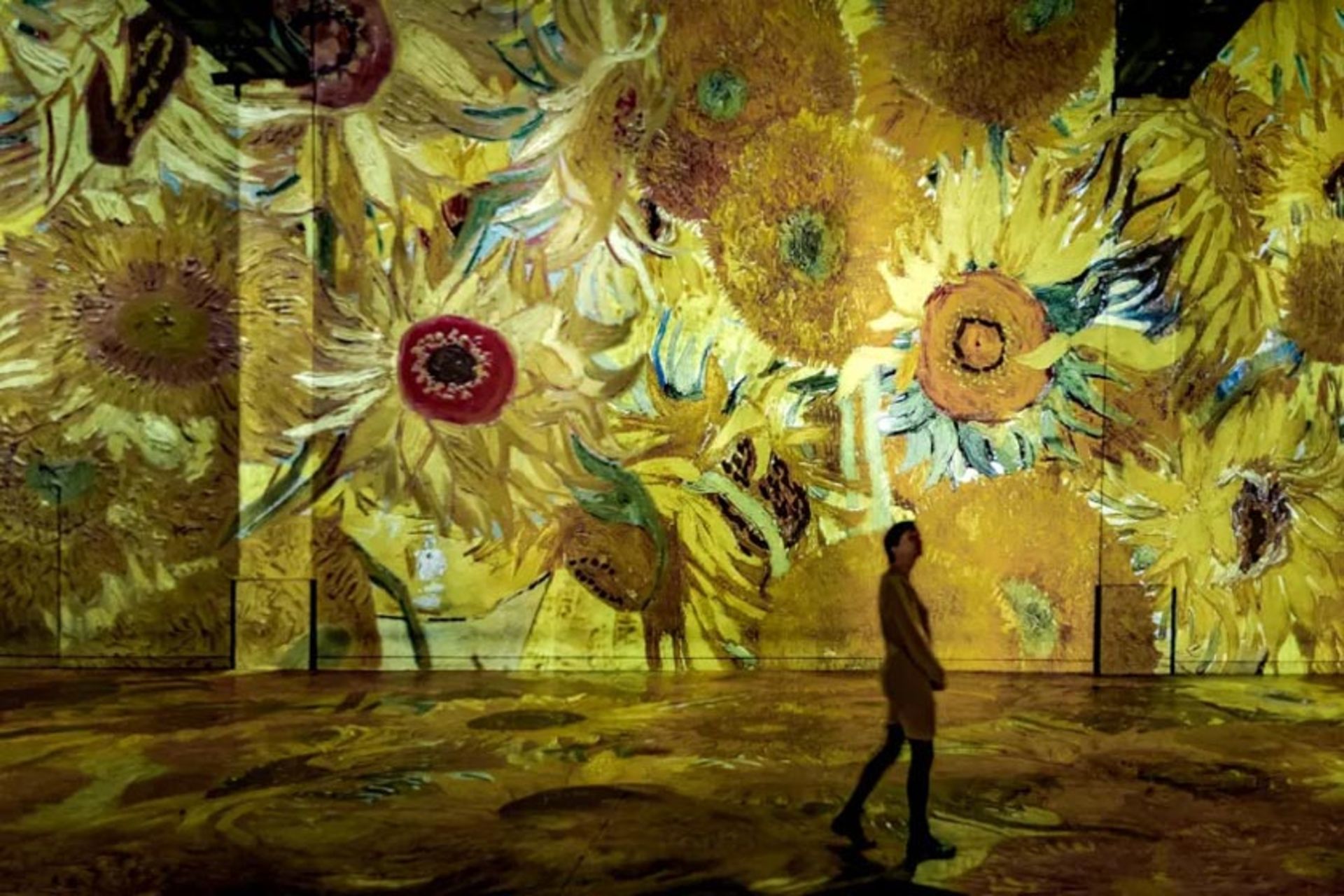 گل های آفتابگردان ونگوگ در موزه نور پاریس؛ منبع عکس: وب سایت atelier-lumieres.com؛ عکاس: نامشخص
