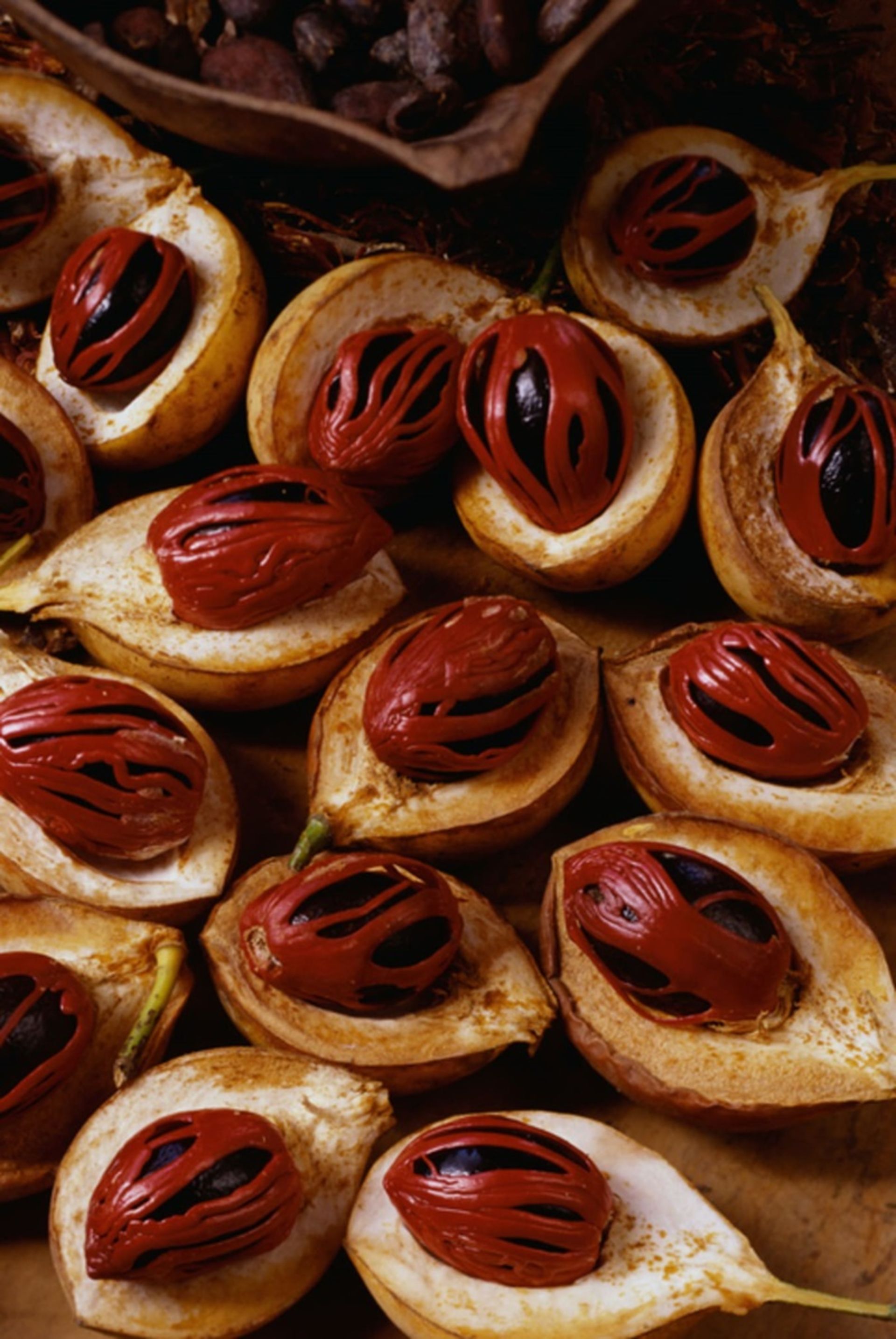 جوز هندی