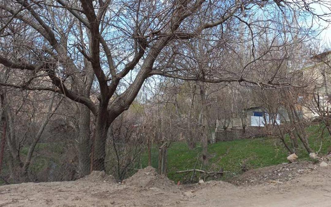طبیعت پاییزی روستای اورازان، منبع عکس: گوگل مپ، عکاس: سید محمد میرزکی