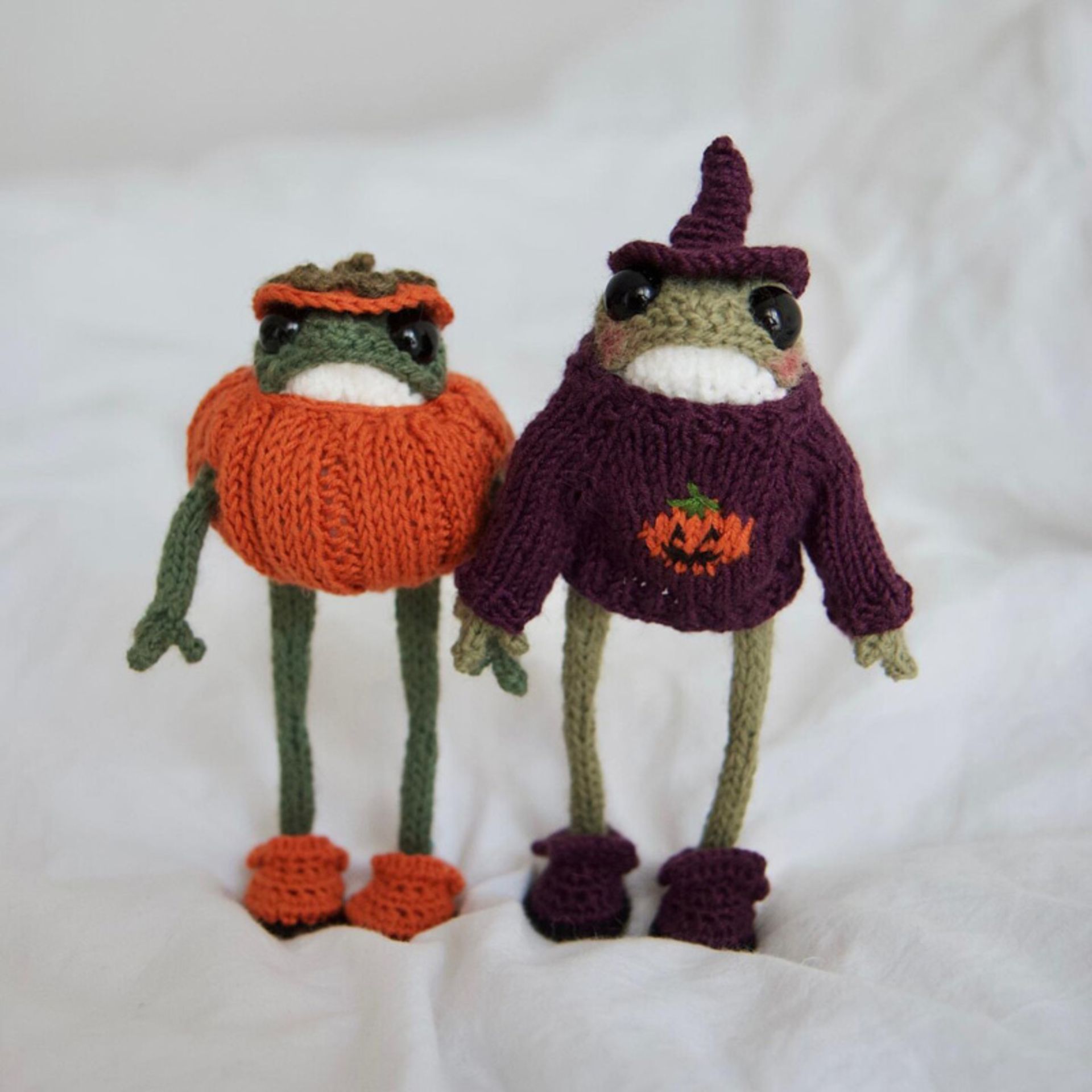 دو قورباغه در لباس های کدو تنبل و بادمجان