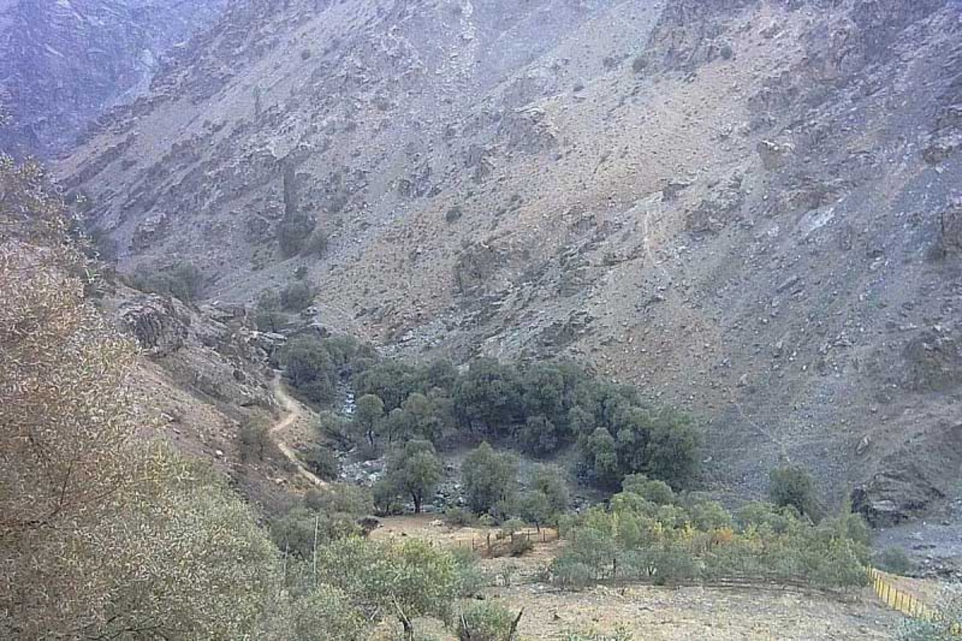 مسیر درکه به پلنگچال؛ منبع عکس: ویکی مدیا؛ عکاس: علیرضا جواهری