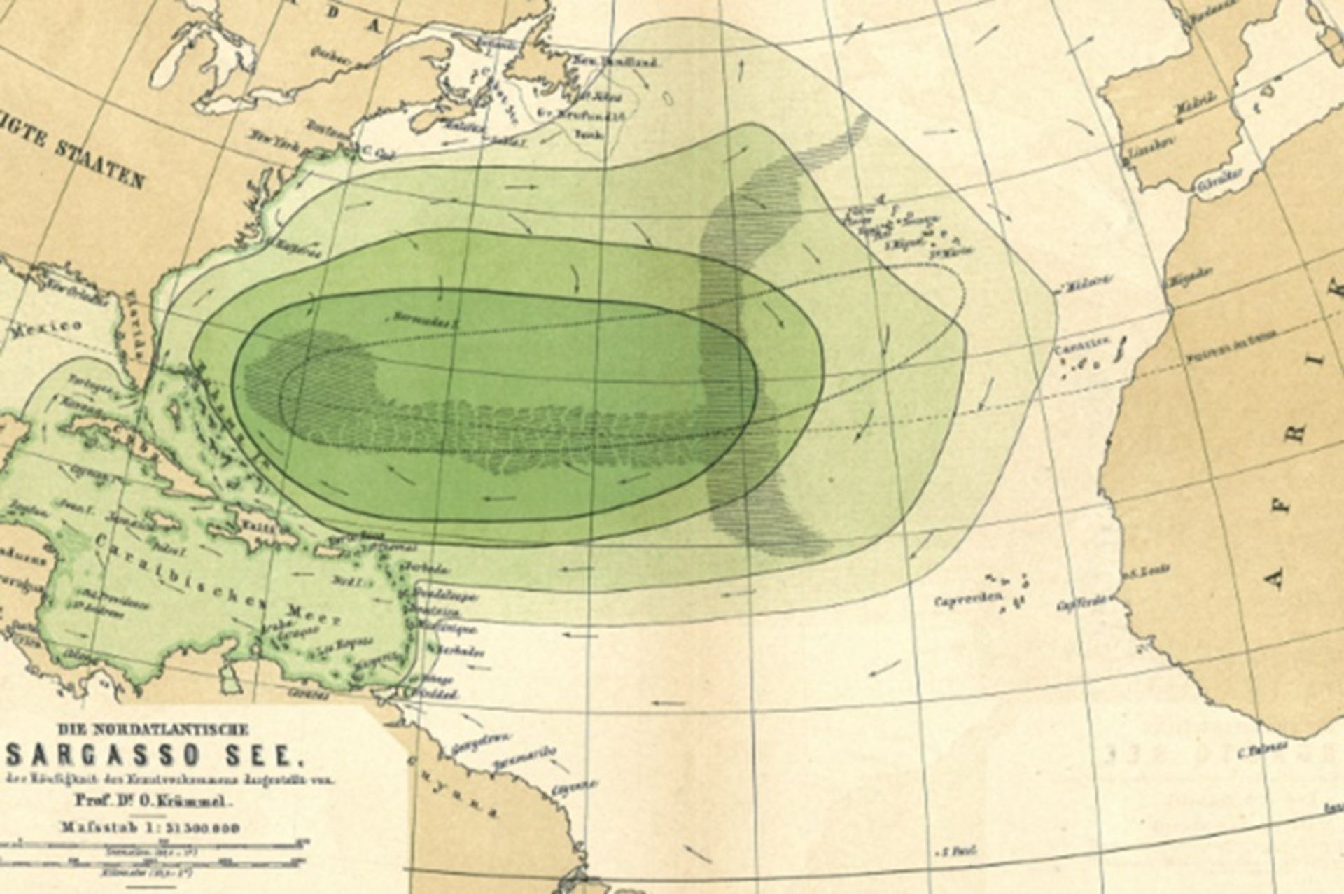 دریای ساراگاسو