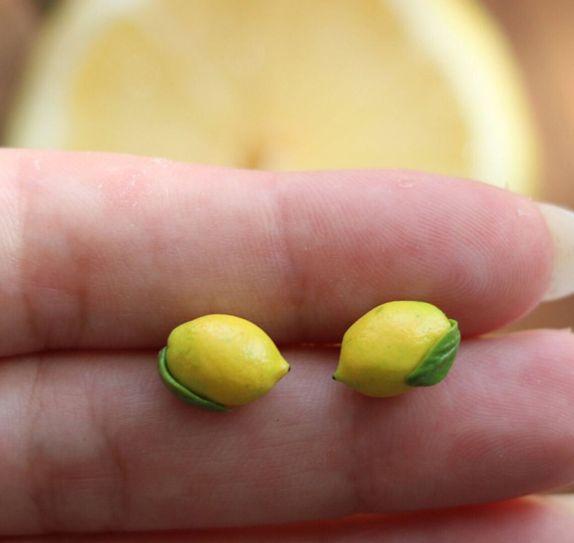 گوشواره های لیمویی