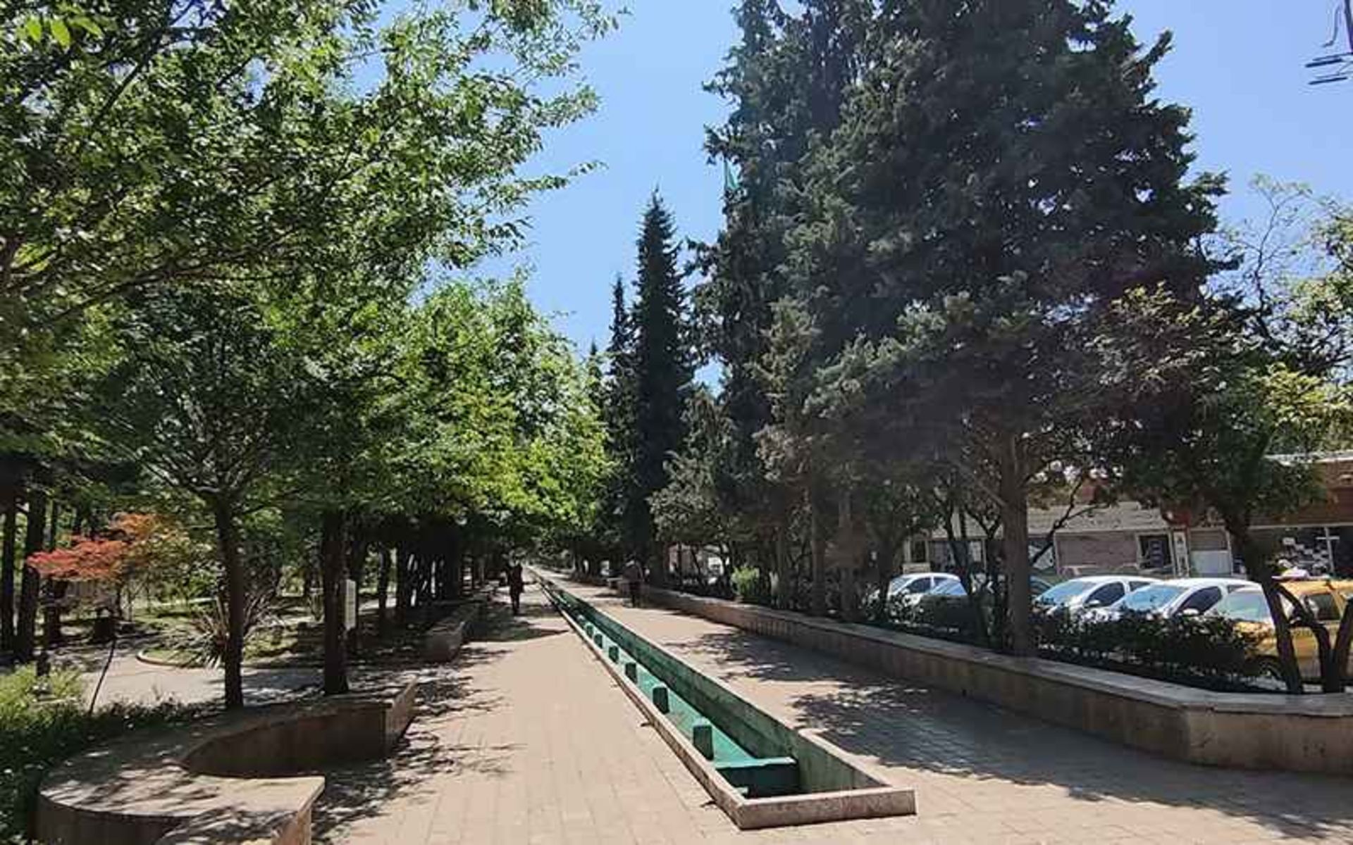 طبیعت پارک ولایت ساری، منبع عکس: گوگل مپ، عکاس: 