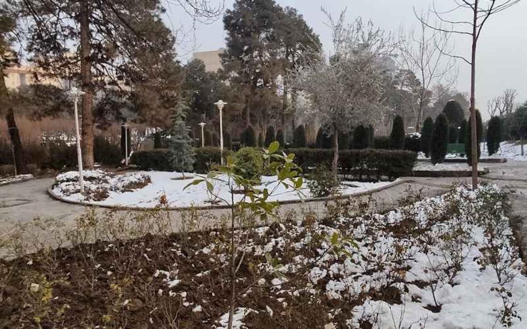 طبیعت پارک ساعی در زمستان، منبع عکس: گوگل مپ، عکاس:  مهدی صفری