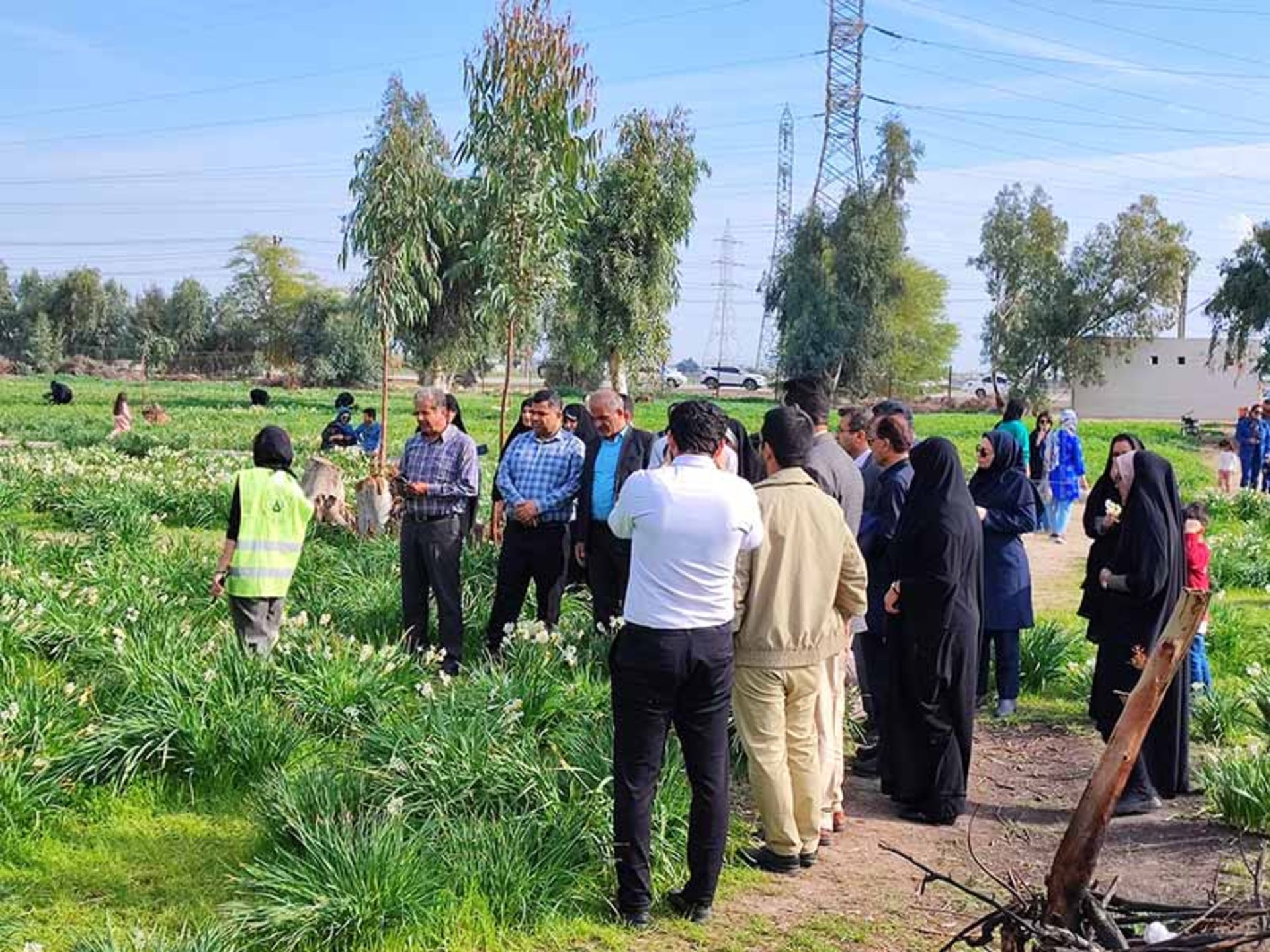 بازدید از نرگس زار بهبهان؛ منبع عکس: گوگل مپ؛ عکاس: علی زالی