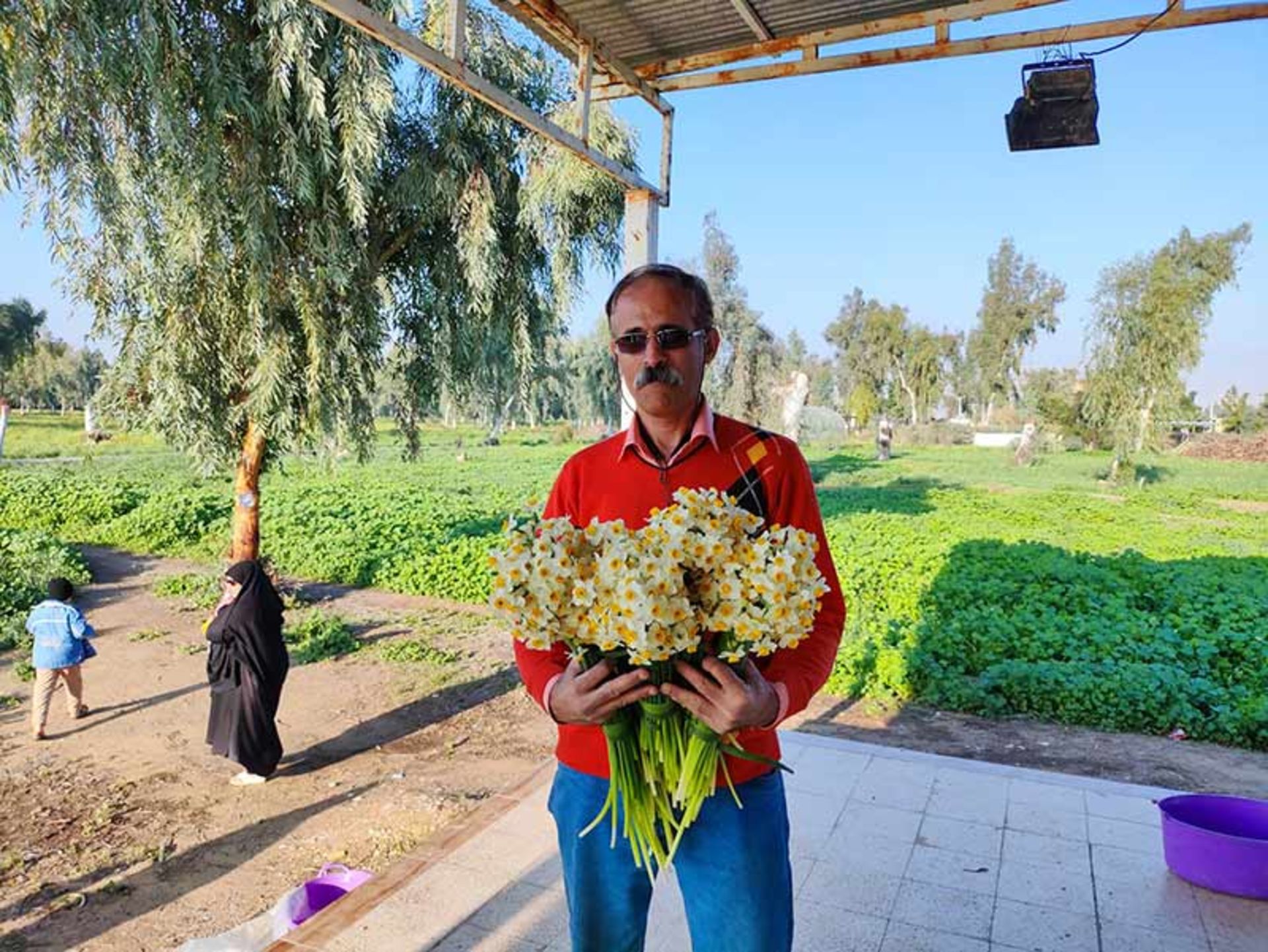 خرید دسته های گل نرگس توسط مسافران در نرگس زار بهبهان؛ منبع عکس: گوگل مپ؛ عکاس: مرتضی جنتی