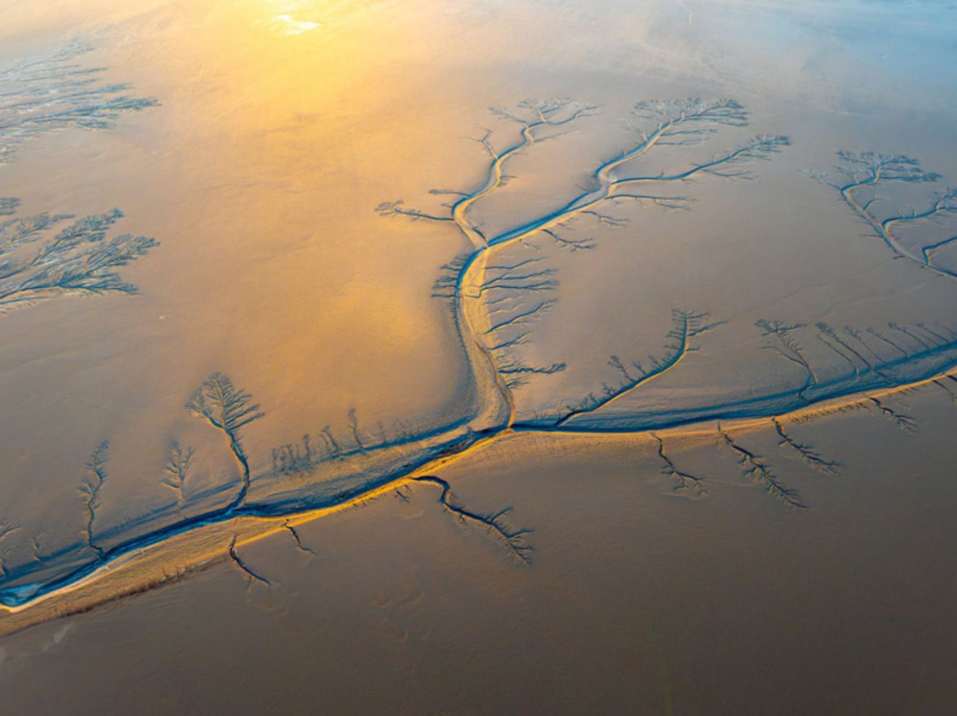 عکس هوایی از الگوهای درختی شکل غول پیکر در رودخانه یخ زده کیانتانگ (Qiantang River) در هانگژو، چین؛ منبع عکس: theguardian؛ نام عکاس: نامشخص 