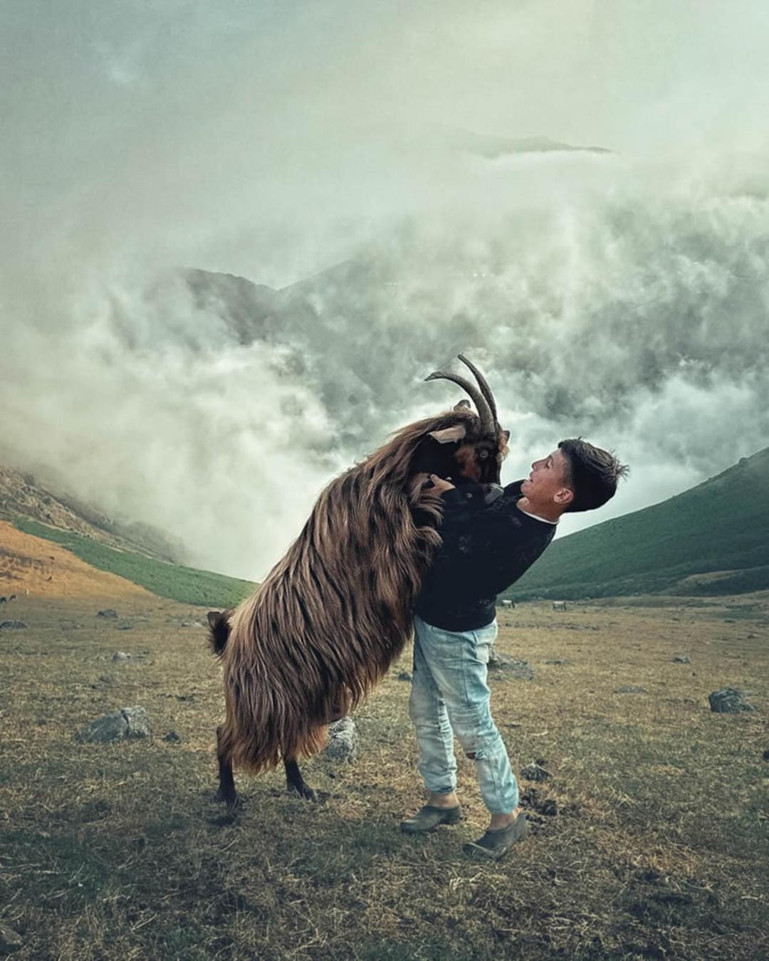 بازی پسرک روستایی با بز