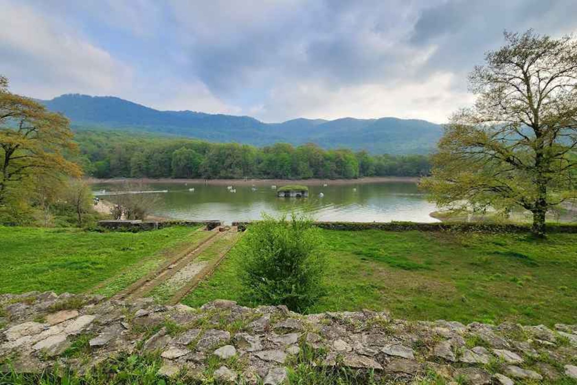 طبیعت باغ عباس آباد بهشهر، منبع عکس: گوگل مپ، عکاس: Hooman Jiya