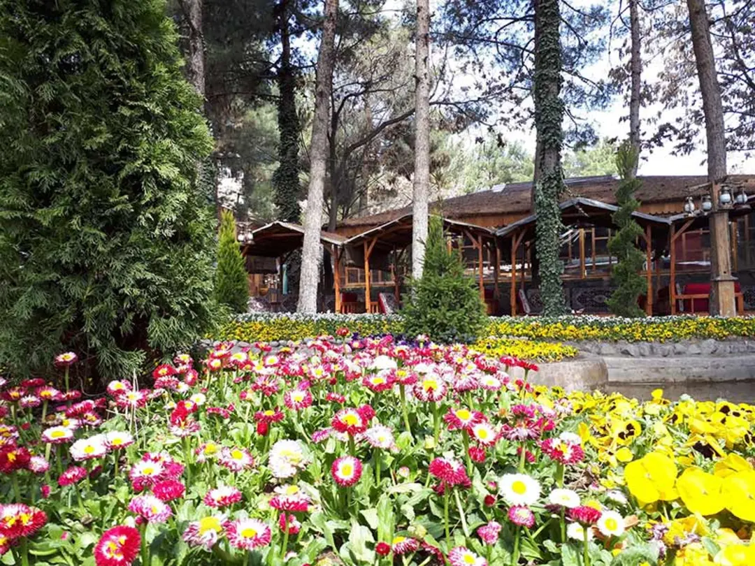 باغچه گل در باغ رستورانی در شاندیز