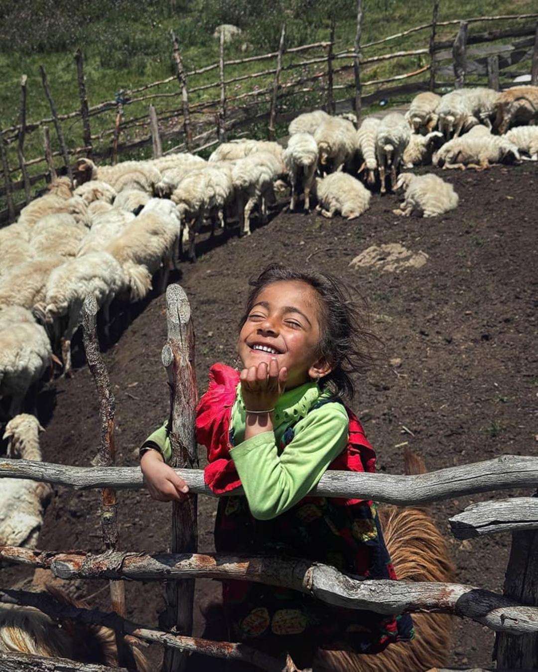 دخترک روستایی ایرانی در آغل گوسفند