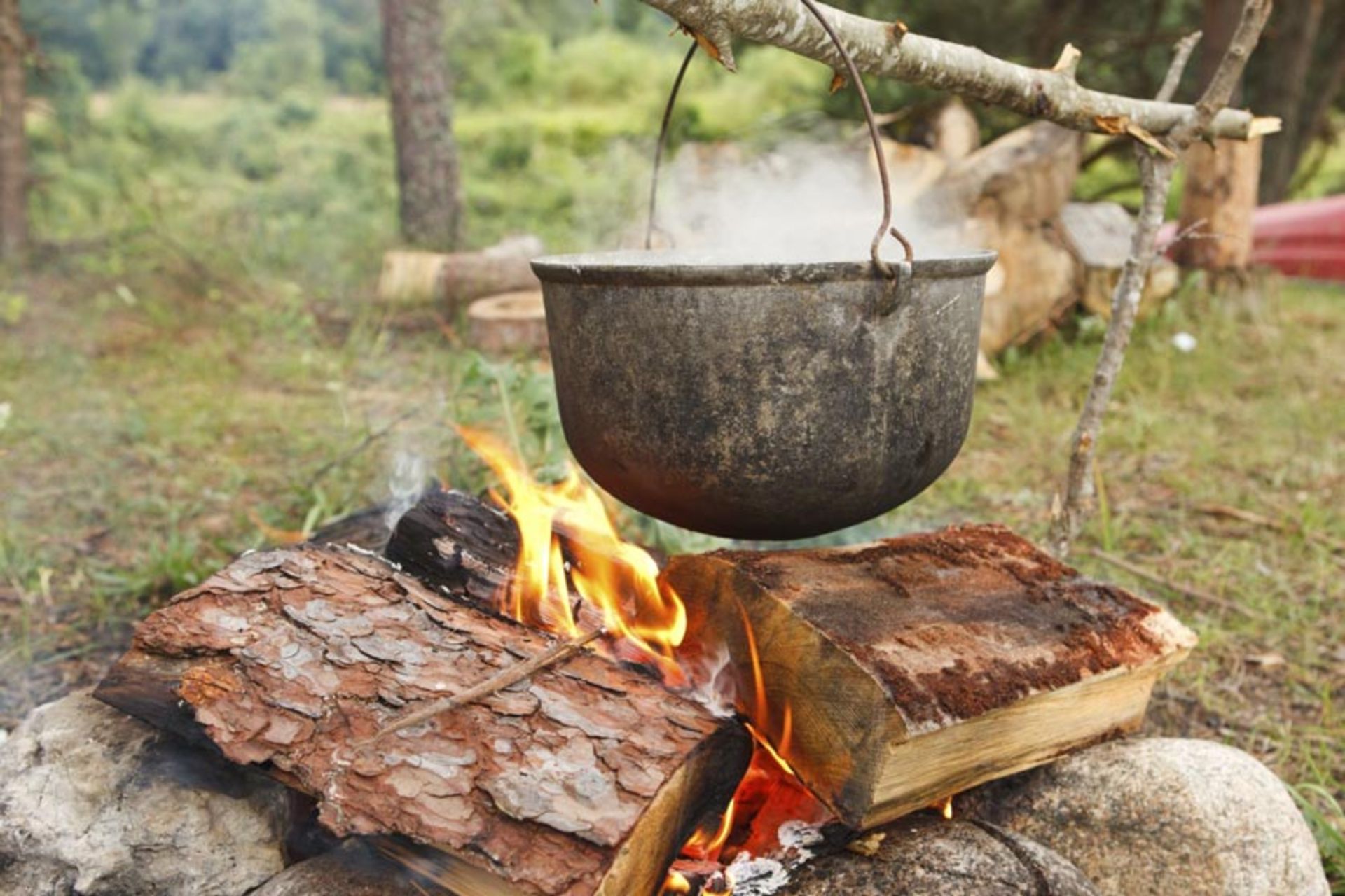 منبع عکس: npr؛ نام عکاس: نامشخص