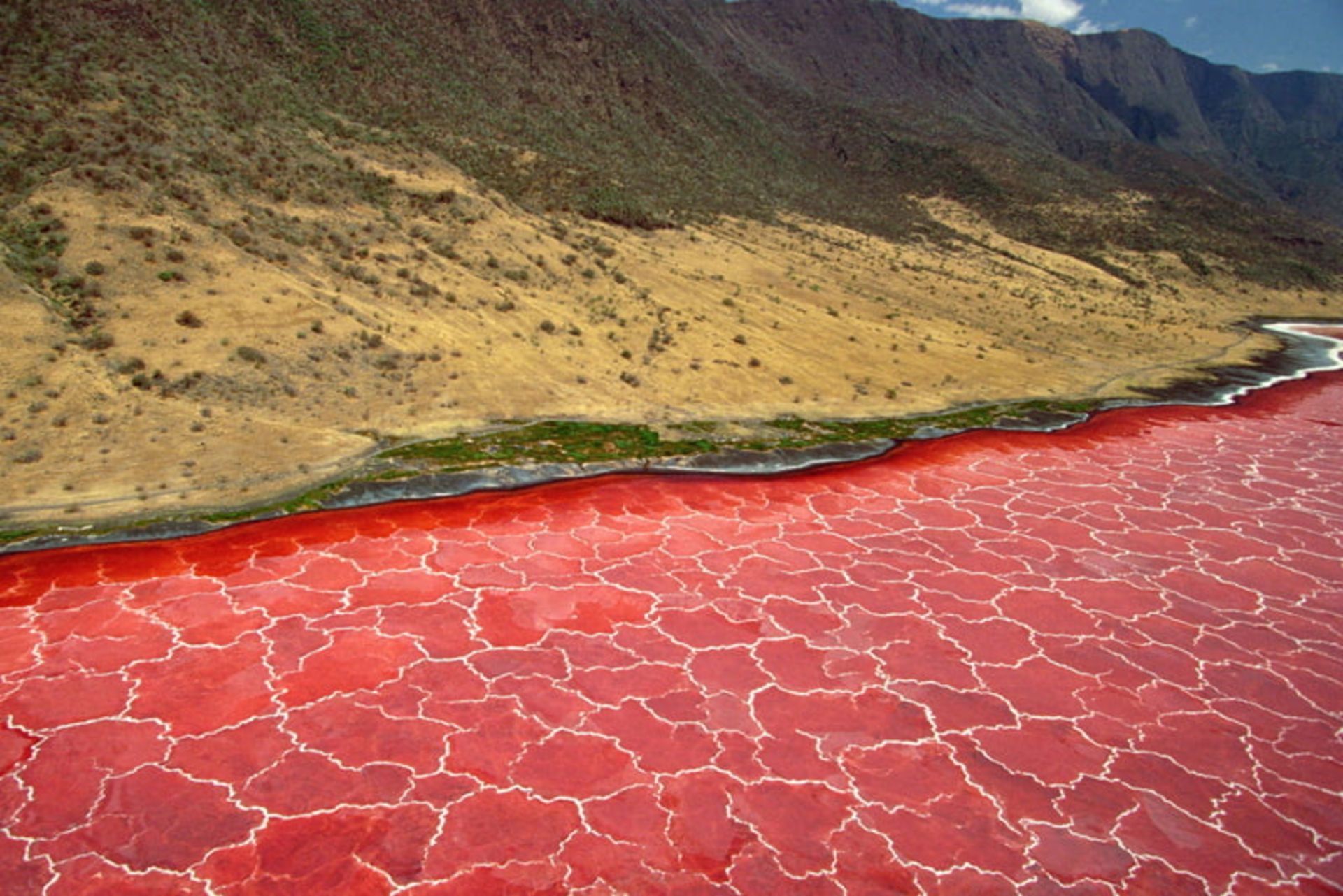 دریاچه ناترون (Lake Natron) در تانزانیا