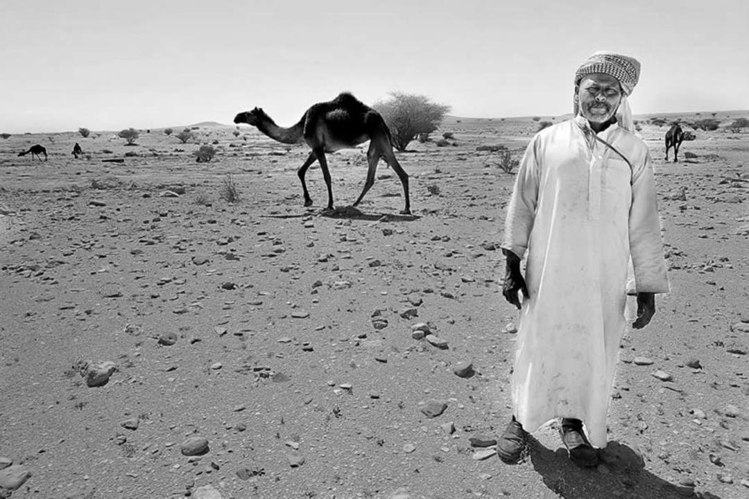 مردی کنار شتر در ریاض
