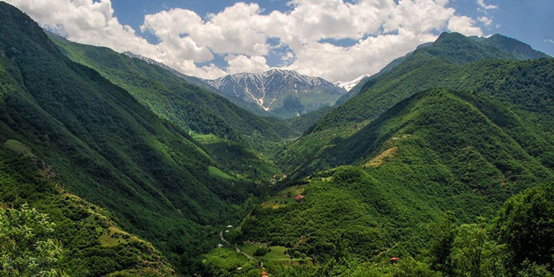 چشم انداز جنگل های سه هزار مازندران؛ منبع عکس: نشان؛ عکاس: نامشخص