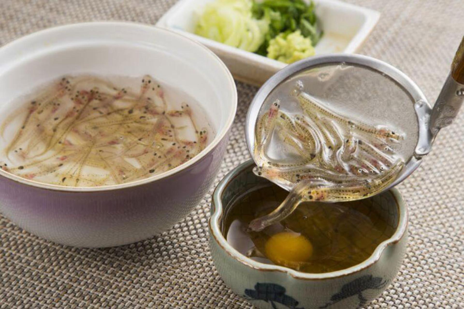 غذای عجیب ژاپنی Shirouo no Odorigui؛ منبع عکس: toptentravel.com.vn؛ عکاس: نامشخص