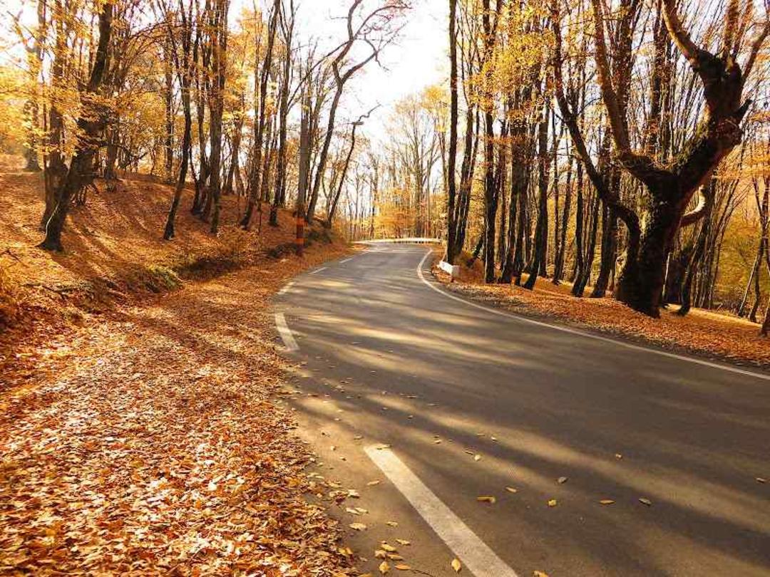 پاییز در جنگل النگدره