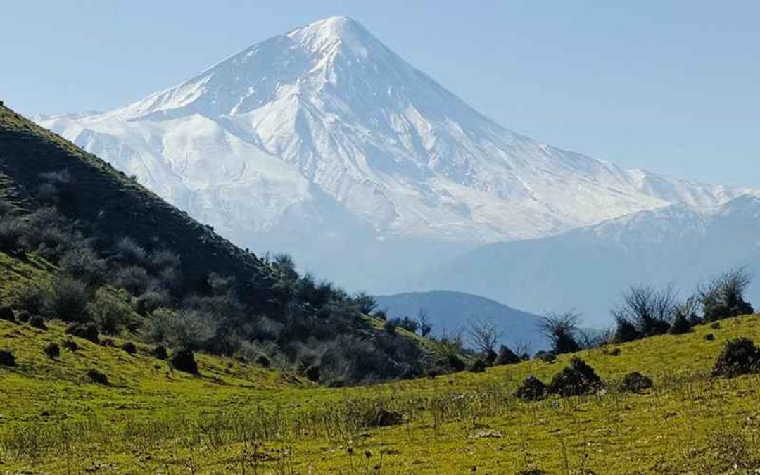طبیعت جنگل الیمستان، منبع عکس: گوگل مپ، عکاس: هادی مدنی پور