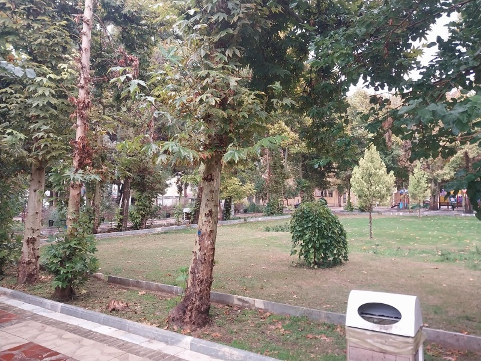 طبیعت پارک شهر بجنورد در تابستان