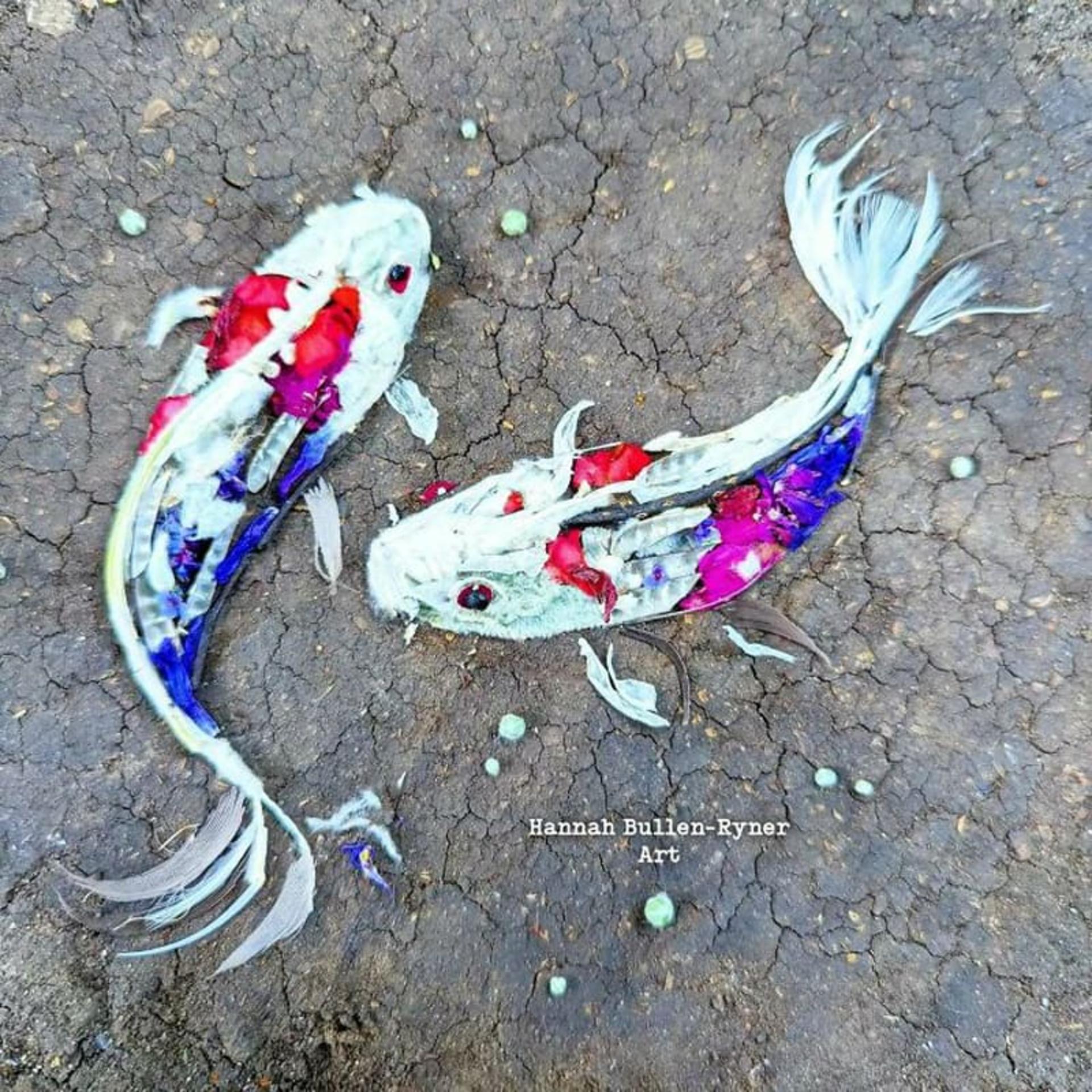 طرح دو ماهی
