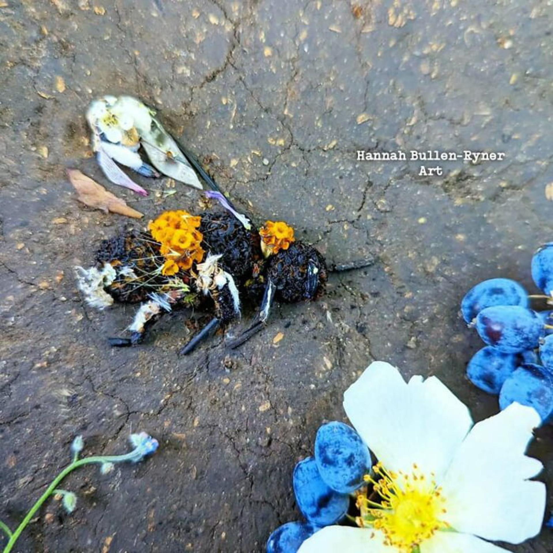 طرح زنبور با گیاه