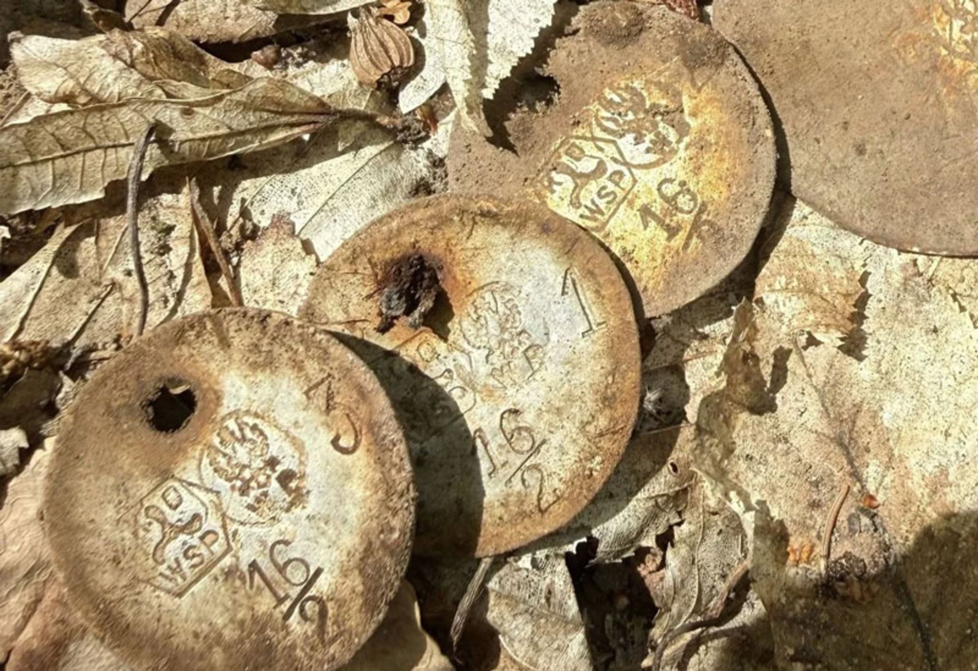 کشف آثار جنگ جهانی دوم