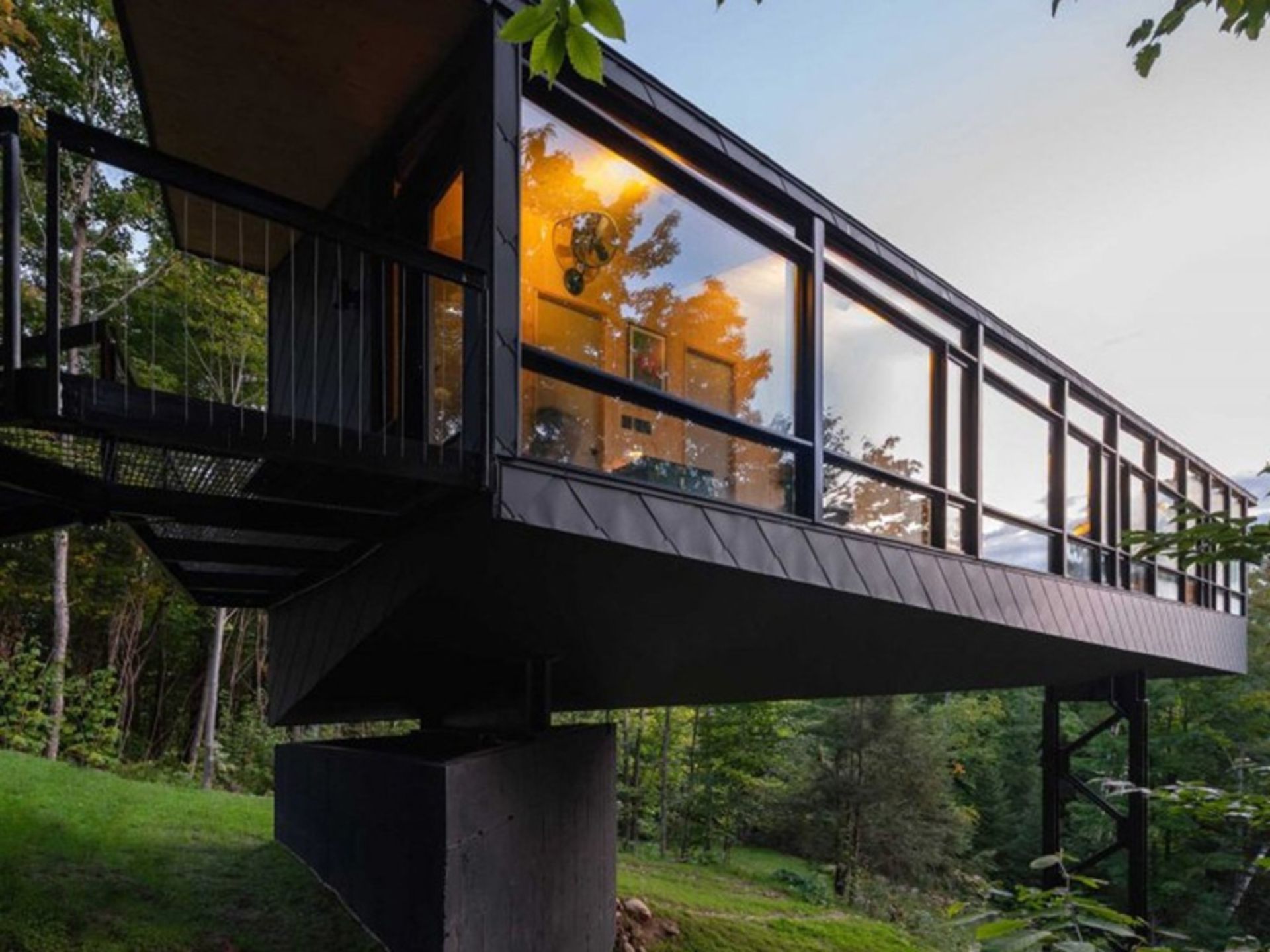 پنجره‌های کلبه معلق مور در جنگل‌های کانادا