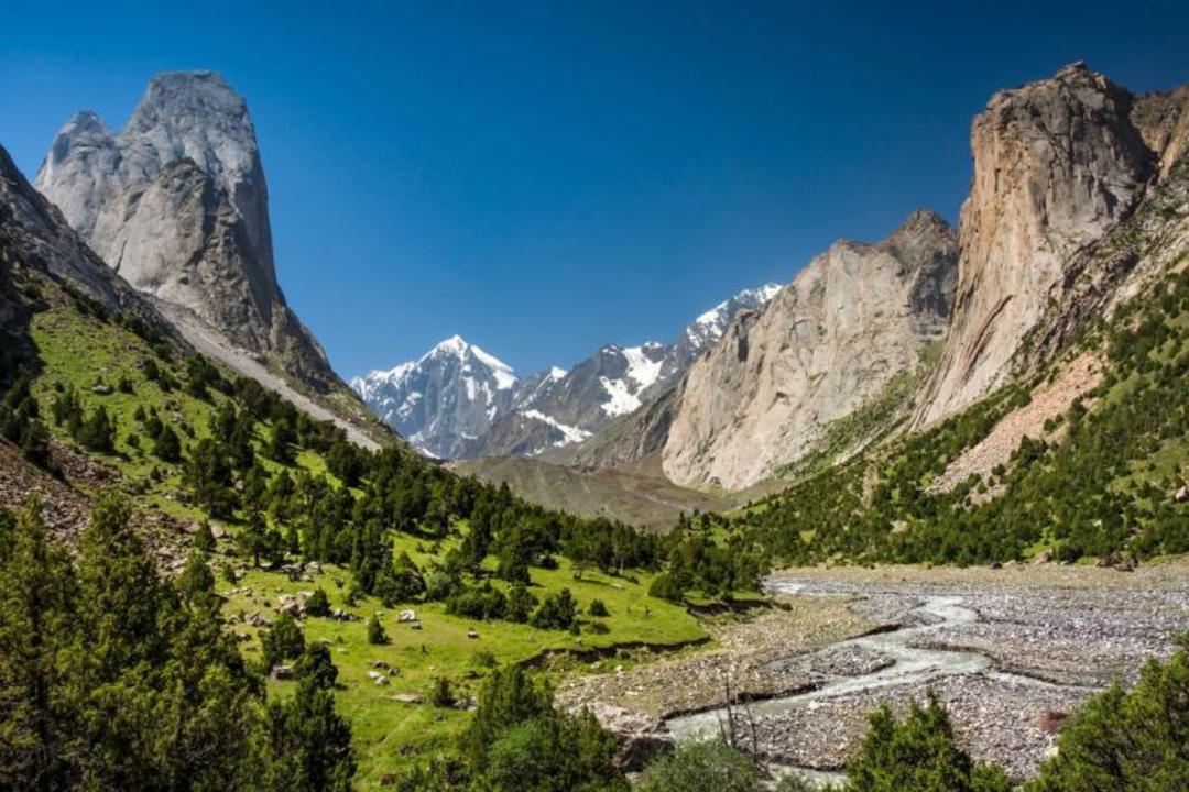 کوهستان سرسبز در قرقیزستان