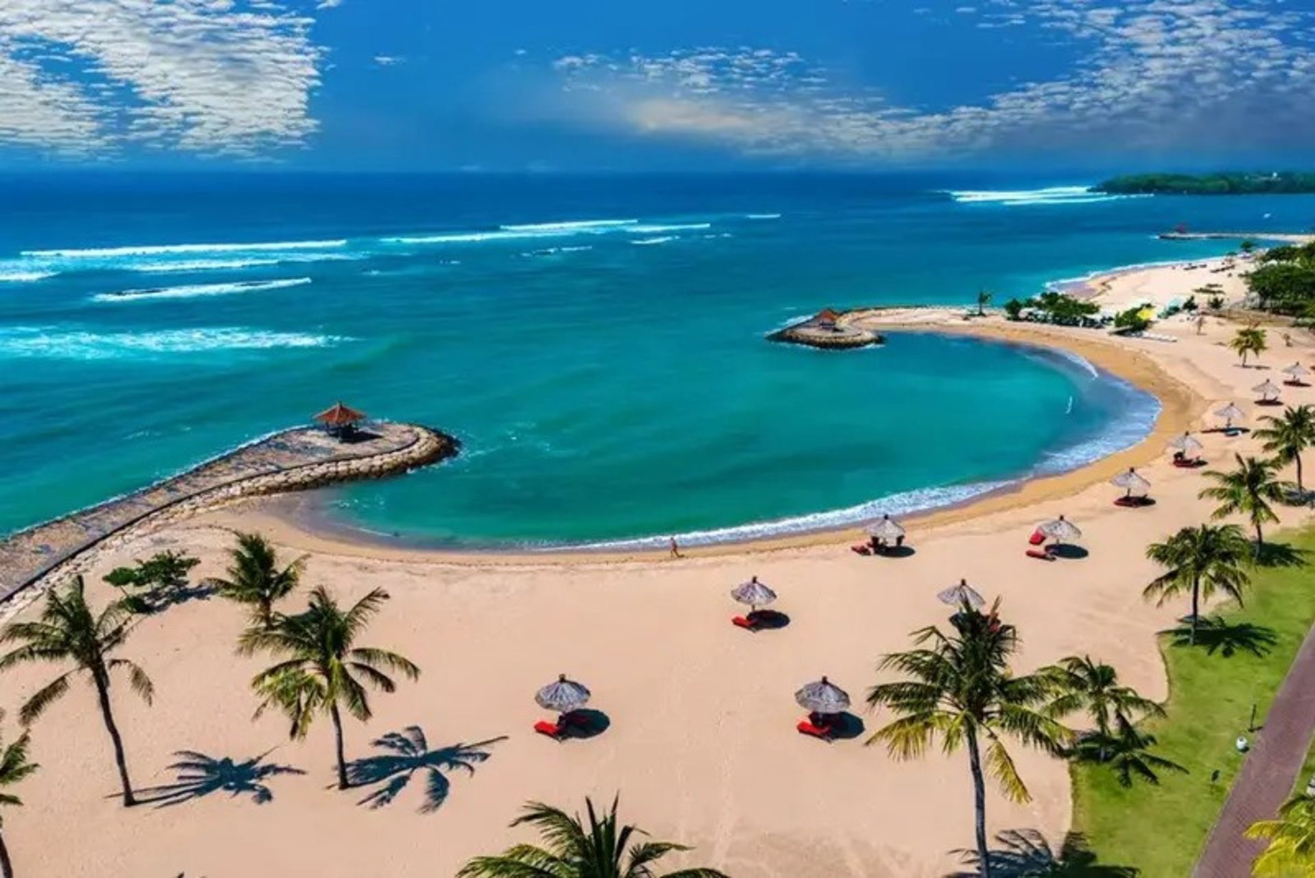 سواحل جزیره بالی با درختان نخل ها