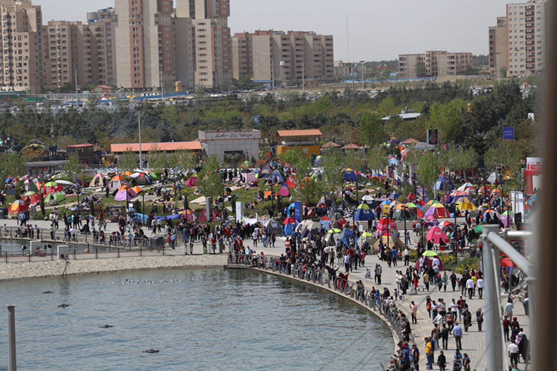 دریاچه چیتگر