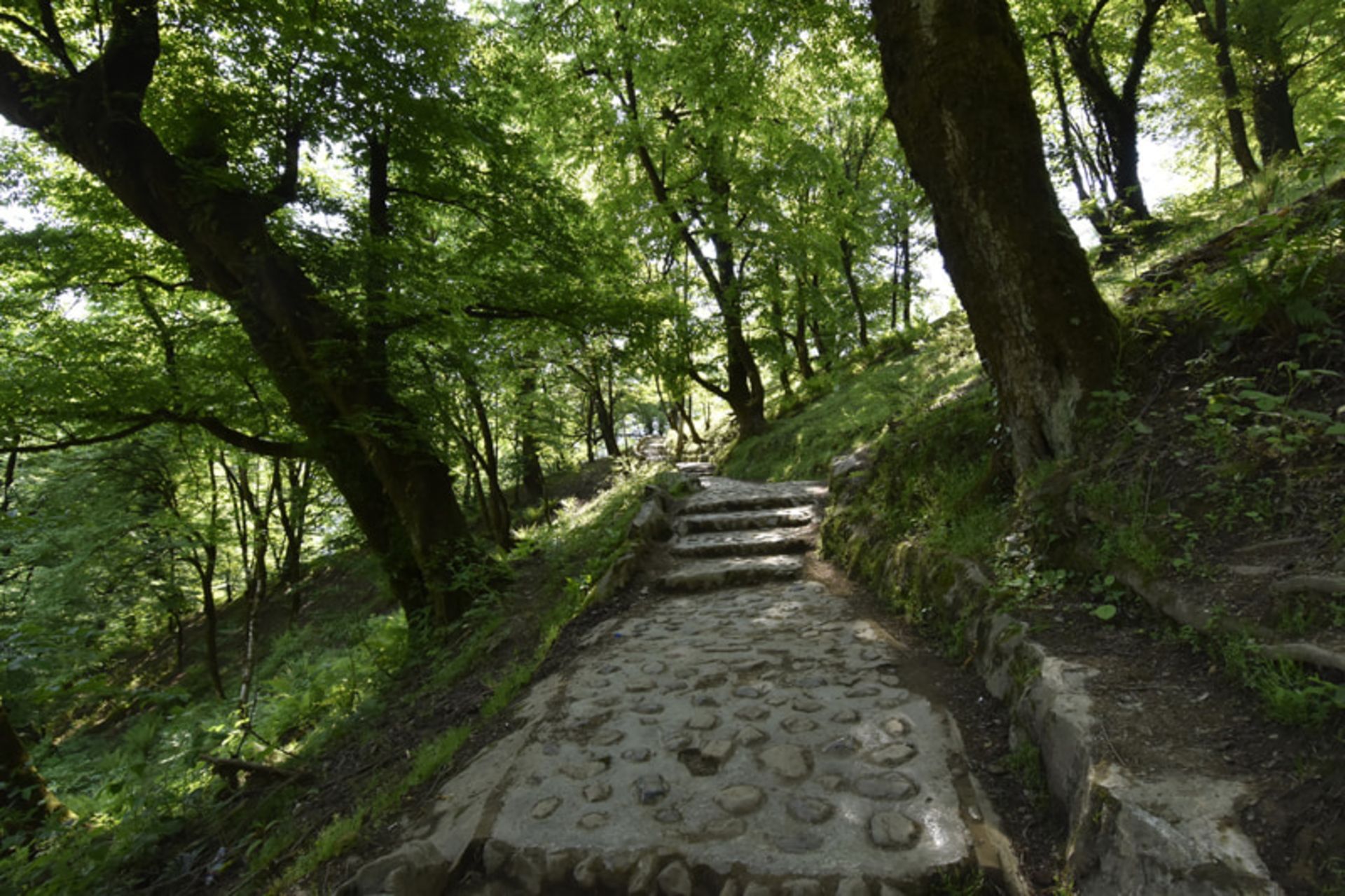 مسیر جنگلی قلعه رودخان