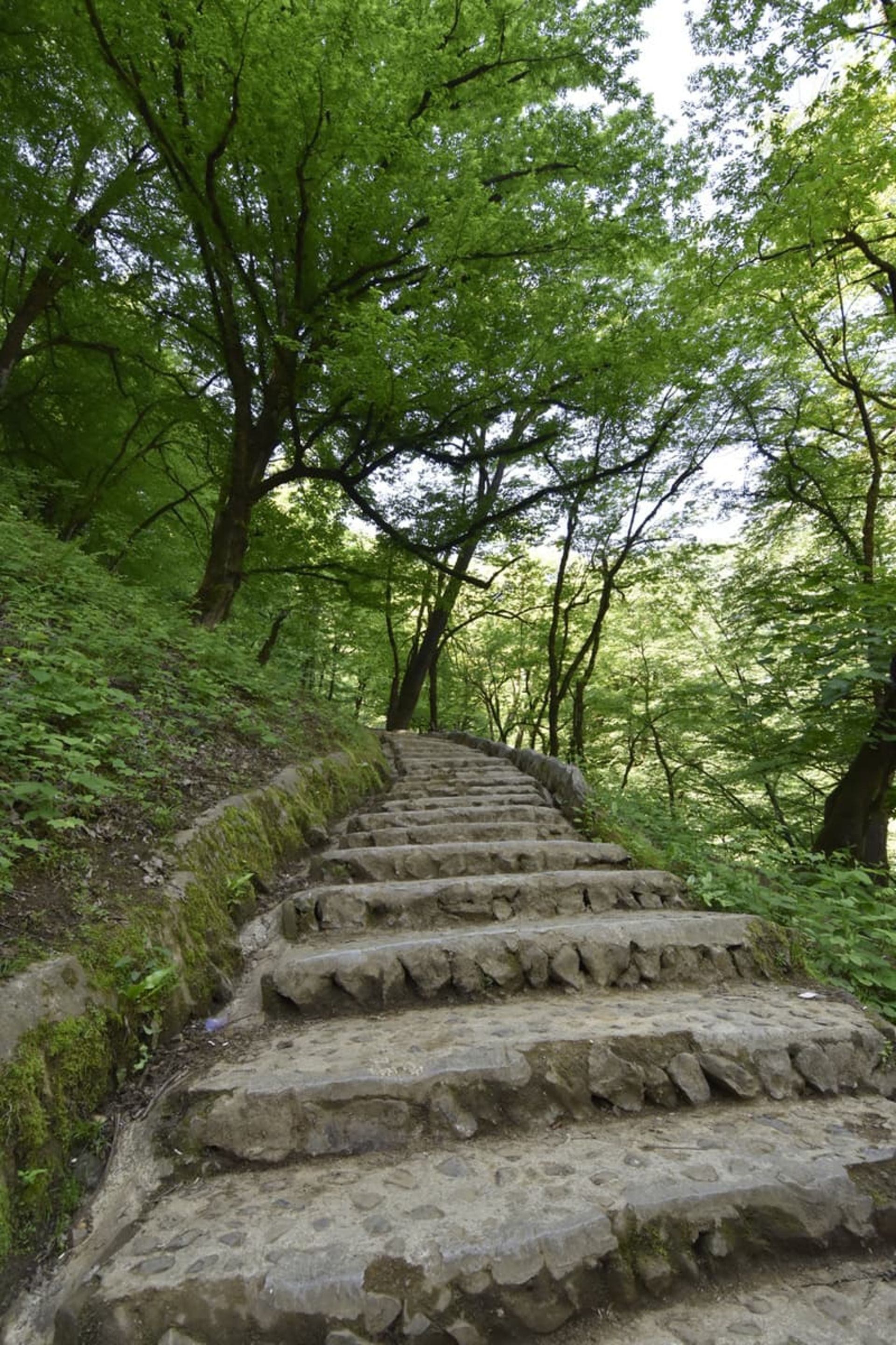 پله های قلعه رودخان