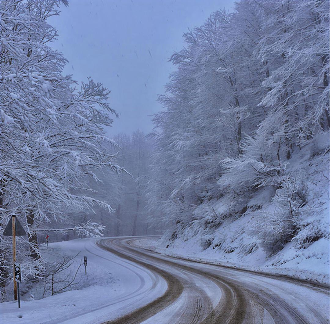 جنگل توسکستان گرگان در زمستان