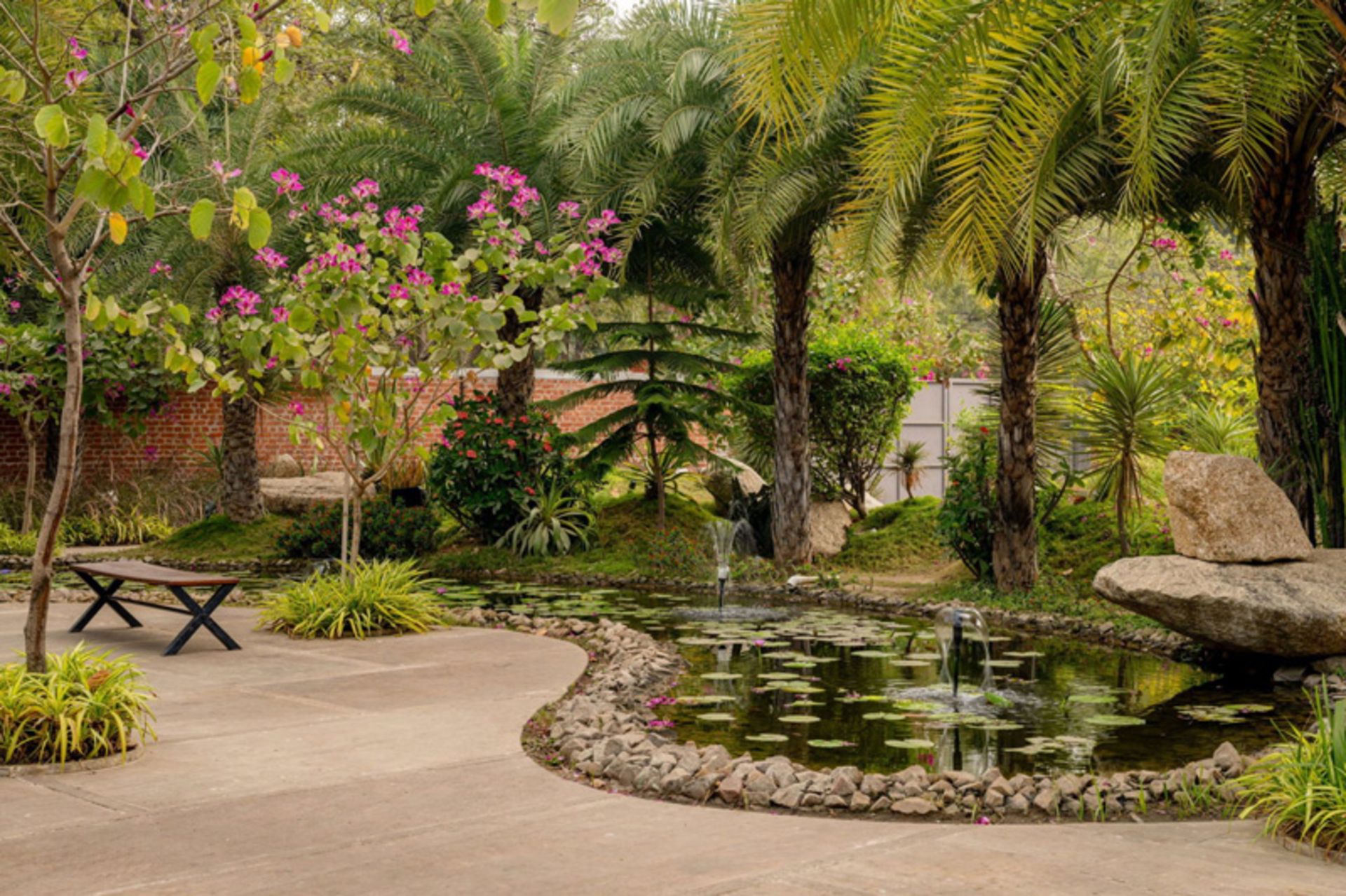 فضای باز رستوران زیر درخت چریش