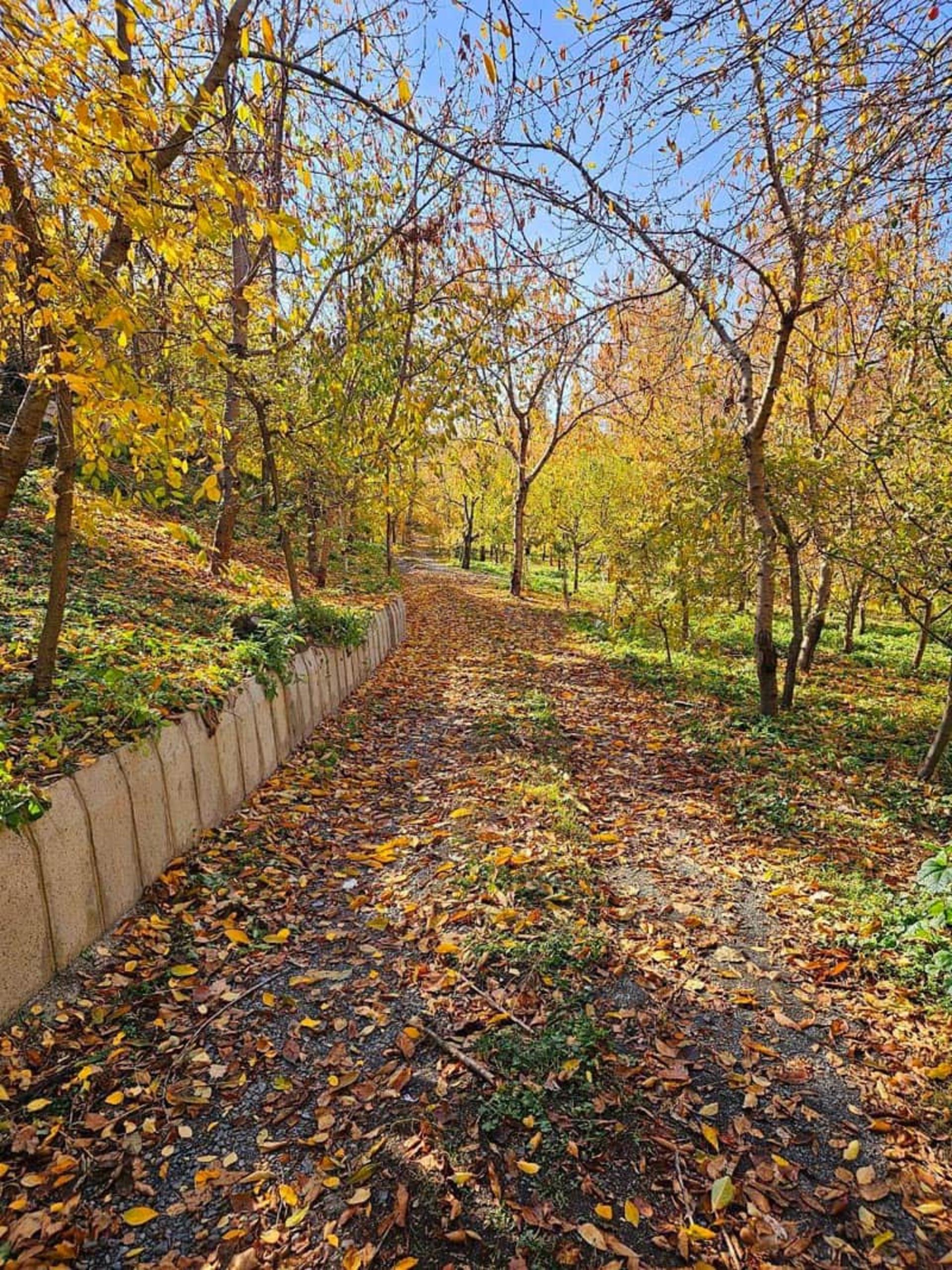 طبیعت پاییزی روستای ازغد