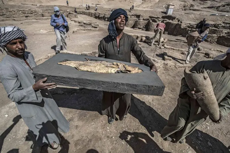 حمل ماهی طلایی در شهر آتن مصر