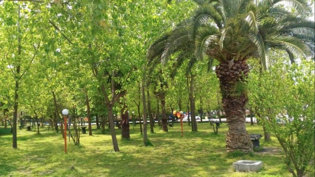 طبیعت و درختان پارک ملت محمود آباد