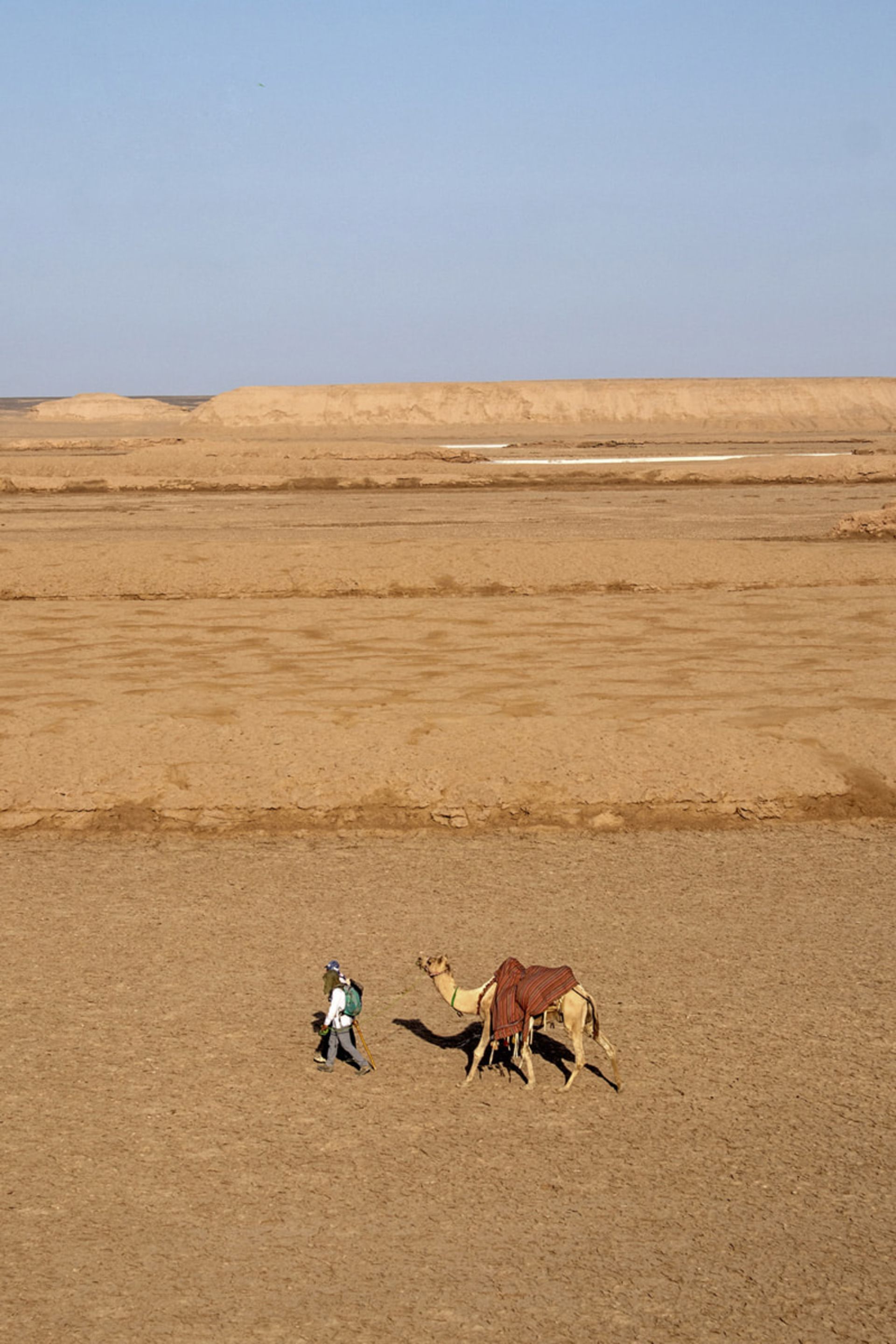 شتر و سازبان در کویر شهداد کرمان