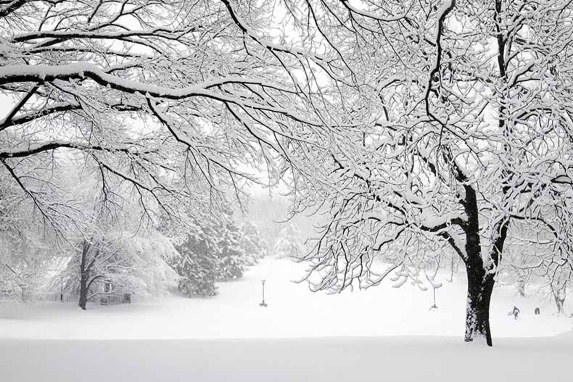 زمستانی که در ایران جان ۴۰۰۰ نفر را گرفت!