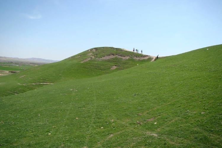 یارم تپه