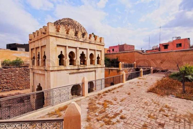 المراوید کوبا